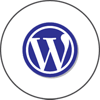 word press template website development